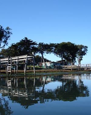 Morro Bay Estuary